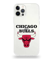 Apple iPhone 12 Pro Max Uyumlu Kapak Chicago Bulls Tasarımlı Şeffaf Silikon Kılıf