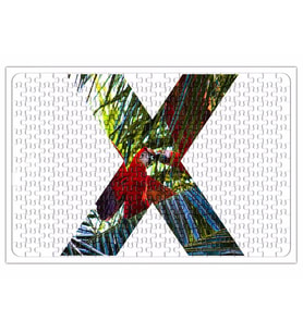 Araras Puzzle 240 Parça Yapboz