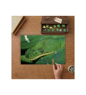 Yeşil Yılan - Snake Tasarımı 240 parça Ahşap Puzzle Ahşap Kutuda MP05001
