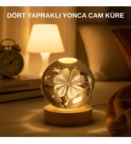 USB Bağlantılı Yonca Bitkili Cam Küre Ahşap Altlıklı Dekoratif Lamba