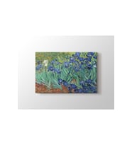 Vincent Van Gogh - Irises Tablo 60 X 80 cm