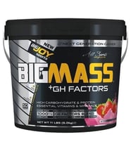 BigJoy Sports Bigmass +GH Factors Çilek 5 kg