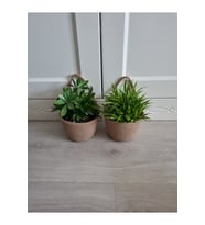 Mini kahverengi sepet ikili dekoratif saksılık, 12x10 cm