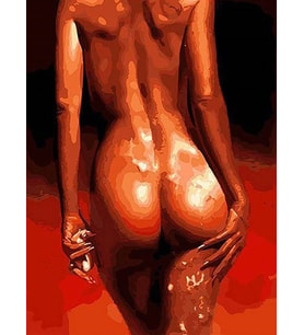 Çekim Sayılarla Boyama Seti(40x50 cm Tuval Şasesine Gerili)