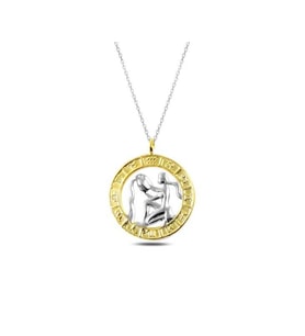?Gümüş Gold Kova Burcu Kolye CSR2183114