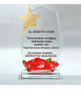 Dokuzgen Cam Kristal Plaket Yıldızlı