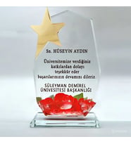 Dokuzgen Cam Kristal Plaket Yıldızlı