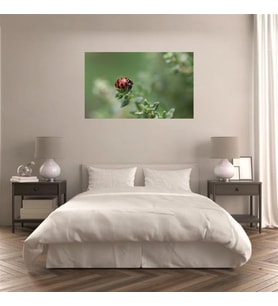 Md62 Uv Baskılı Mdf Tablo
