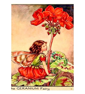 Cicely Mary Barker'ın "sardunya Perisi" (1922) Tablo Ahşap Poster Dekoratif