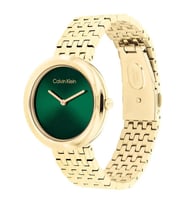 Calvin Klein CK25100066 Kadın Kol Saati