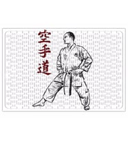 Karate Shotokan Puzzle 240 Parça Yapboz