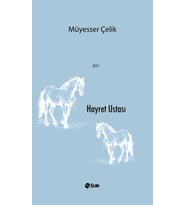 Hayret Ustası
