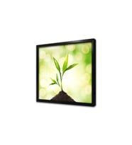 Çiçek Çerçeveli Mdf Tablo