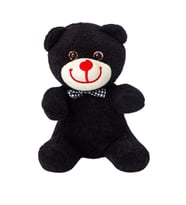 Sevimli Peluş Ayıcık