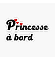 Arabada Prenses var Sticker Etiket Yapıştırma 19CM