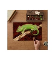 Bukalemun - Sürüngen Tasarımı 240 parça Ahşap Puzzle Ahşap Kutuda MP10887