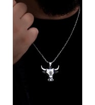 Kral Model Chicago Bulls Gümüş Kolye