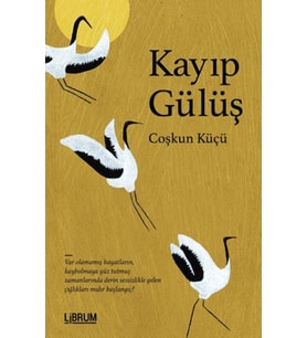 Kayıp Gülüş