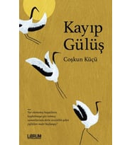 Kayıp Gülüş