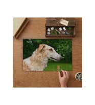 Rus Borzoy Cinsi Köpek Tasarımı 240 parça Ahşap Puzzle Ahşap Kutuda MP02380