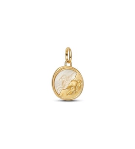 Pegasus Madalyon Charm