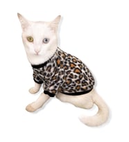 Leopar Softie Kedi Süeteri Kedi Kıyafeti 