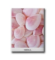 Shell Canvas Tablo MİND198