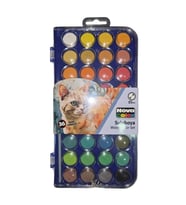 NOVA COLOR NC-426 36'LI SULU BOYA