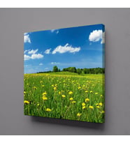 PAPATYA VE BULUTLAR KANVAS TABLO 30x30cm (Karışık)