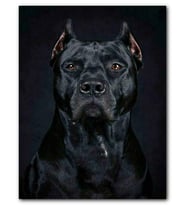 Cakatablo MDF (Ahşap) Tablo Pitbull Cinsi Köpek