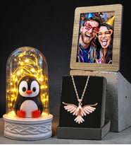 Fotoğraflı Led Işıklı Penguen Fanus ve Zümrüdü Anka Kuşu Kolye