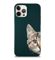 Apple iPhone 12 Pro Soft Premier Kapak Catface Tasarımlı Silikon Kılıf - Yeşil (Şeffaf)