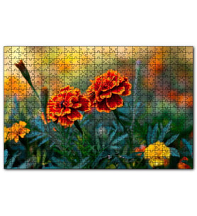 Cakapuzzle Turuncu Karanfil Çiçeği Görseli  Puzzle Yapboz MDF (Ahşap) (120 Parça)