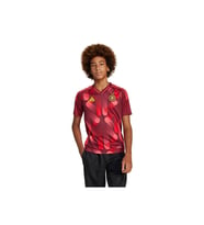 adidas Bordo Unisex Çocuk   Forma DFB A JSY Y JF2608