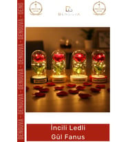 #Fanus Dekoratif Hediyelik Sevgililer Günü Estetik Aydınlatma Fanus İncili Ledli Gül Fanus