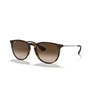 Ray-Ban RB4171 865/13 Kadın Güneş Gözlüğü