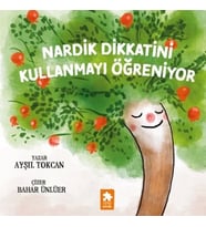 Nardik Dikkatini Kullanmayı Öğreniyor
