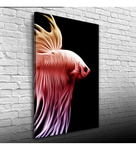 Siyah Fonda Kırmızı Balık Kanvas Tablo 50 x 70