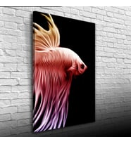 Siyah Fonda Kırmızı Balık Kanvas Tablo 50 x 70