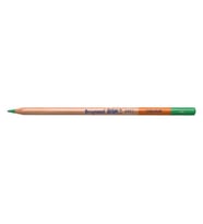BRUYNZEEL DESING COLOUR KURU BOYA KALEMİ - GREEN - B880566K