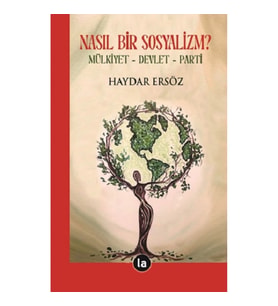 Nasıl Bir Sosyalizm?
