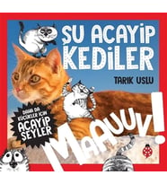 Daha Küçükler İçin Şu Acayip Kediler