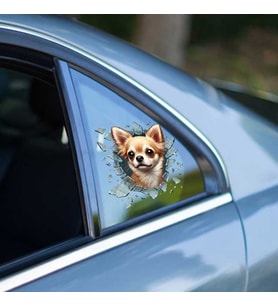 Fulcar Chiuahua Araç Stickerı