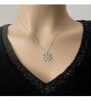 4 kalpli Rodium Gümüş Kolye (Karışık)