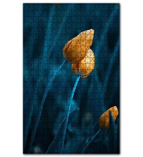 Cakapuzzle Öpüşen Turuncu Laleler Puzzle Yapboz MDF (Ahşap) (120 Parça)