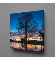 GÖL İÇİNDEKİ AĞAÇ KANVAS TABLO 200x200cm