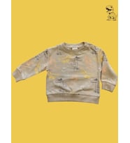 Erkek Bebek Dinazor Desenli Sweatshirt (Kahverengi)