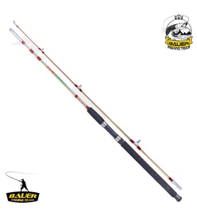 İki Parça Dolgu Olta Kamışı - Crystal - 120 cm 100/250 gr - Bauer