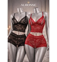 Siyah Kırmızı Dantel Crop Bralet & Yüksek Bel Transparan Şort Takımı Kadın İç Giyim 2’li Set (Karışık)