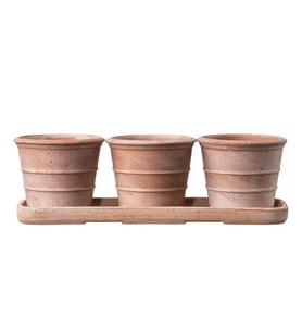 Mini Siena Toprak Saksı Seti Terracota